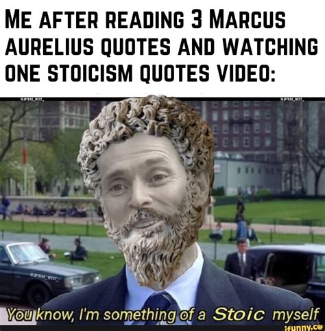 Me After Reading 3 Marcus Aurelius Quotes And Watching One Stoicism