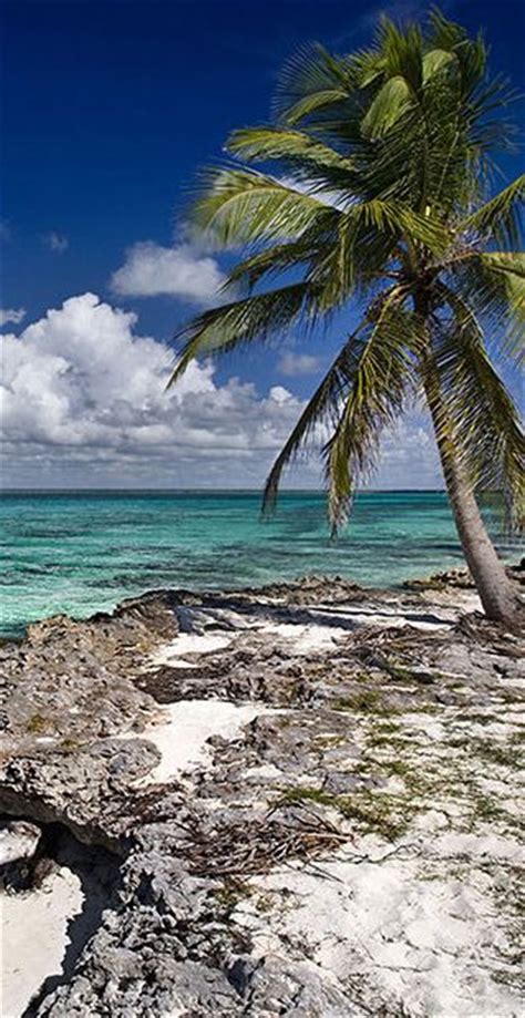 17 Best Images About Aruba Scenery On Pinterest All Inclusive Resorts