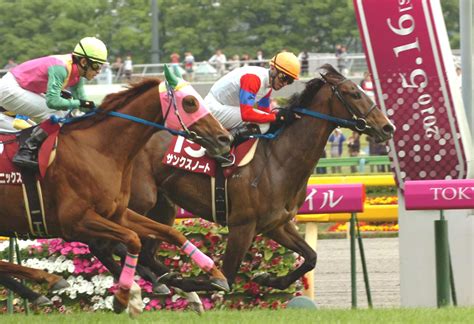 【毎日ベスト3】京王杯scのびっくり配当ベスト3 毎日ベスト3 競馬コラム写真ニュース 日刊スポーツ