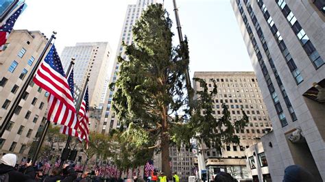 Rockefeller Plaza Christmas Tree | Hot Sex Picture