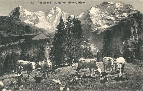 Evening scene, Jungfrau, Monch and Eiger, Switzerland