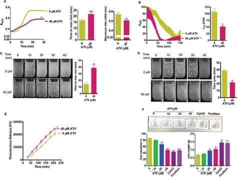 Full Article Atorvastatin Mediated Inhibition Of Prenylation Of Rab B