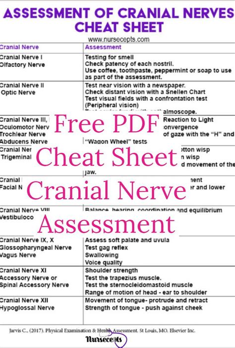 Cranial Nerve Assessment Cheat Sheet Printable Templates Free