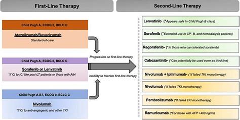 Options For Sequential Management Of Advanced HCC The Figure Presents