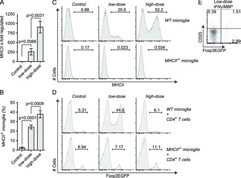 Microglia Mediated Treg Induction Depends On Mhc Class Ii Microglia