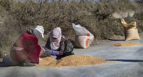 Syria’s Agricultural Crisis Carnegie Middle East Center Carnegie Endowment For International