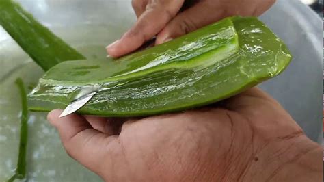 How To Make Aloe Vera Juice To Drink At Home Youtube