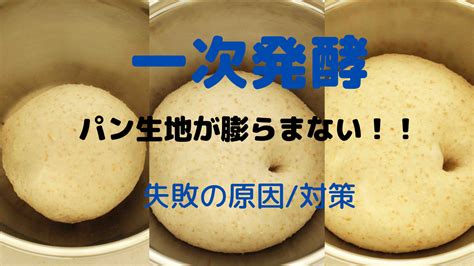 【パン作りの失敗】一次発酵でパン生地が膨らまない！原因と対策は？ 冷蔵発酵パン教室アトリエエピス｜東京・西東京市