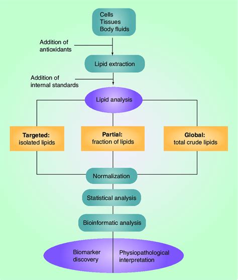 Schematic Representation Of Lipidomics Approaches Used For Discovery Of