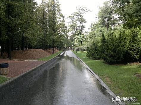 雨后的水泥路面上，我无意中发现了筑路工的诗意和浪漫