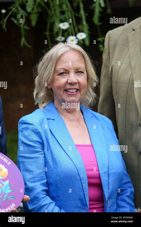 Deborah Meaden Dragons Den Hi Res Stock Photography And Images Alamy