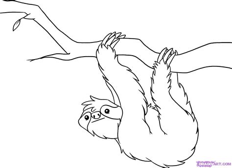 Tropical Rainforest Animals Coloring Pages At Free