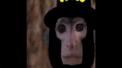 Playing Cebus Youtube