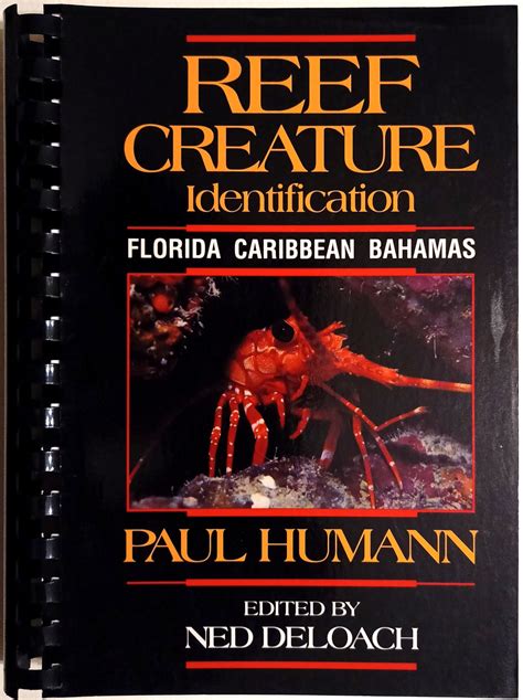 Paul Humann Reef Creature Identification Florida Caribbean Bahamas