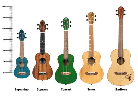 Find The Best Suitable Ukulele An Overview Of The Different Sizes