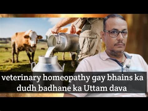 Veterinary Homeopathy Gay Bhains Ka Dudh Badhane Ka Uttam Dava Youtube