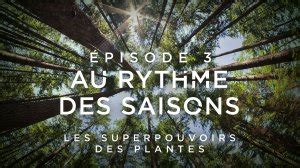 Les Superpouvoirs Des Plantes Saison Pisode En Streaming France Tv