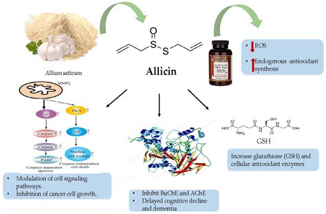 Nutrients Free Full Text Chemical Constituents And Pharmacological