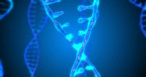 Abstract Glittering DNA Double Helix With Depth Of Field Animation Of