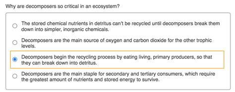 Solved Why are decomposers so critical in an ecosystem? The | Chegg.com 