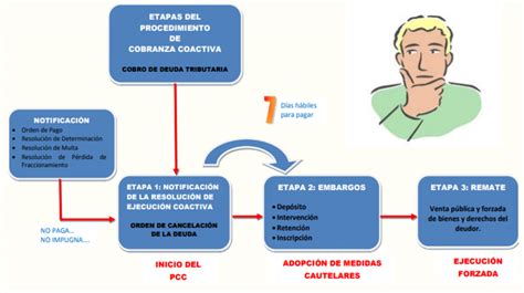 Aspectos Esenciales Que Debe Tener En Cuenta En Las Etapas Del