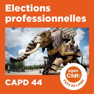 Lections Professionnelles Sgen Cfdt Pays De Loire