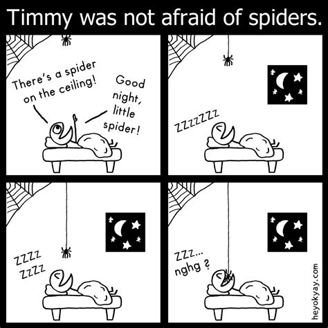 Not Afraid Of Spiders Hey Ok Yay Spider Goodnight Sleeping