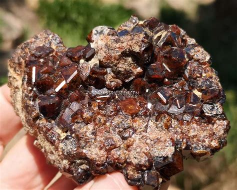 ANDRADITE GARNET MINERALITUM Exclusive Minerals Online Mineral Shop