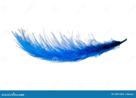 Flying Feather Stock Images - Image: 18871824