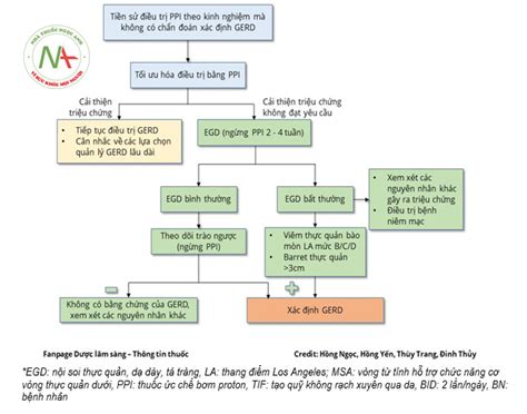Hướng dẫn chẩn đoán và điều trị trào ngược dạ dày thực quản GERD