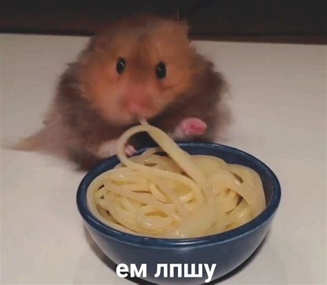 Pin by Вероника on мемасыы | Cute memes, Memes, Really funny