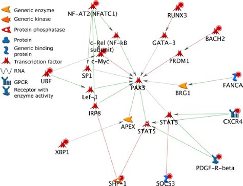 Network Analysis Of The Direct Ahr Target Genes And Pax Molecules