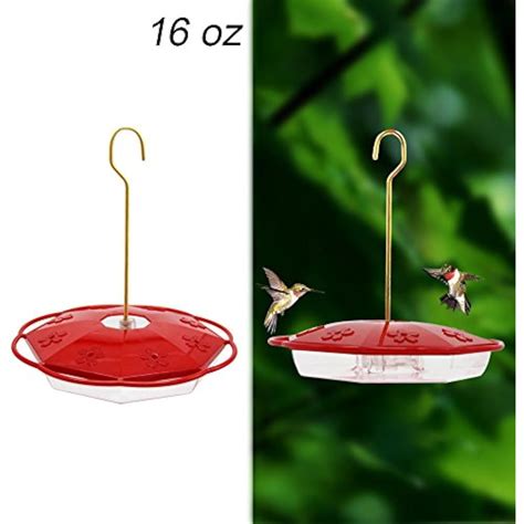 16 Oz Hanging Hummingbird Feeder 8 Feeding Ports Garden And Outdoor Ebay