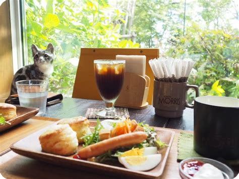 大府市「cafe Morris（カフェ モーリス）」でモーニング！本格コーヒーをおしゃれな店内で堪能〜 ここいこ知多三河