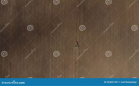 Tillage By Tractor With Attached Cultivator Aerial View Agricultural