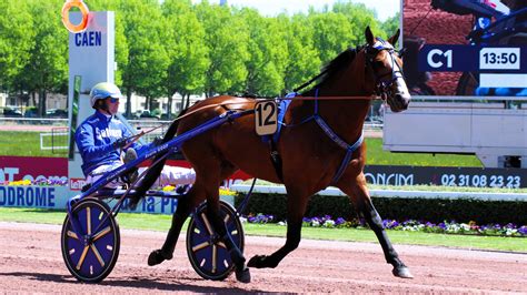 resultat pmu du jour arrivee du quinte du lundi