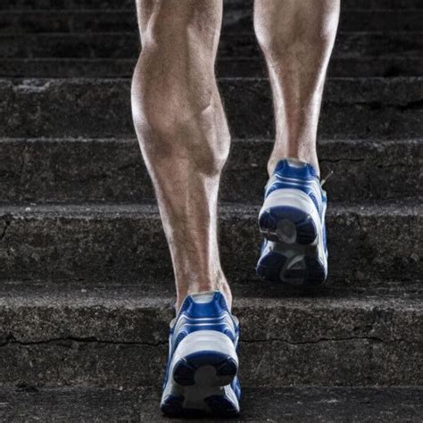 How To Build Calf Muscles A Step By Step Guide Rogue Routines