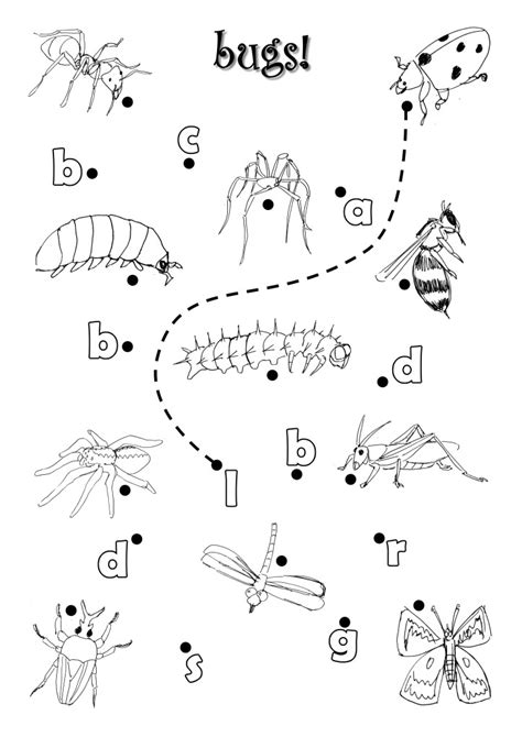 14 Insect Worksheets For Kindergarten