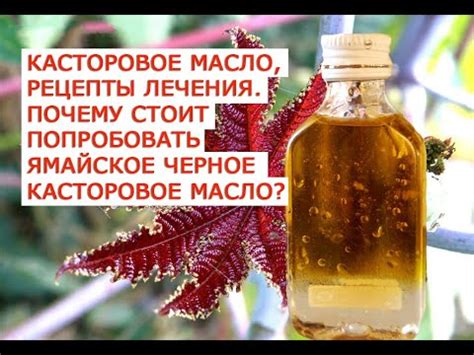 Касторовое масло, 31 рецепт лечения Почему стоит попробовать Ямайское ...