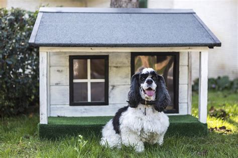 C Mo Hacer Una Casa Para Perros Paso A Paso