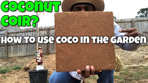 Coconut Coir How To Use Coco Coir In Your Garden How To Make Your