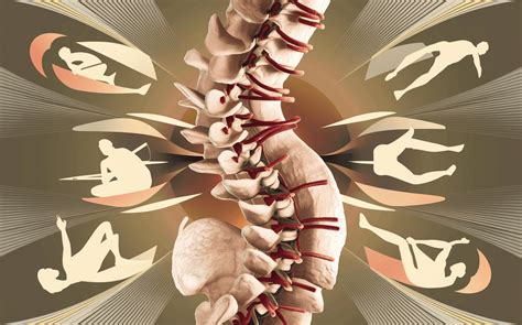 The Importance Of Spinal Alignment And Posture A Chiropractors