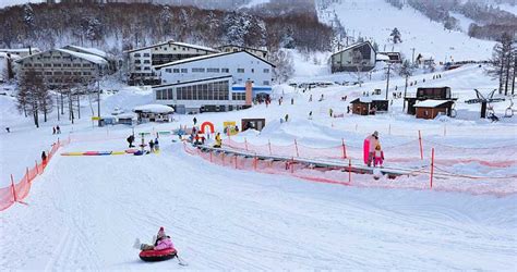 Shiga Kogen Ski Resort | Honshu | Deals & Book - Scout