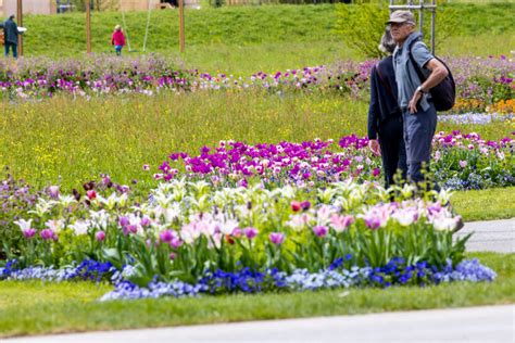 schönsten Fotos der Landesgartenschau Eröffnung 2024 in Wangen