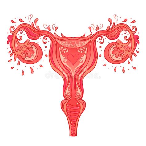 Dibujo Decorativo Del Sistema Reproductor Femenino Con Flores Utero