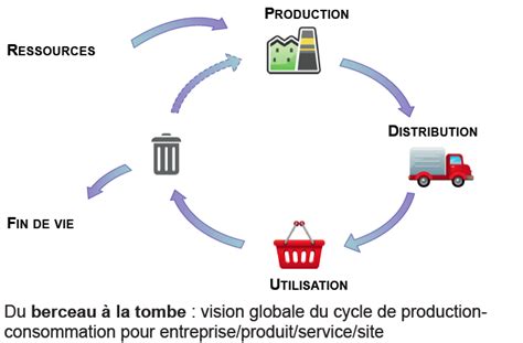 Lacv Du Berceau à La Tombe Download Scientific Diagram