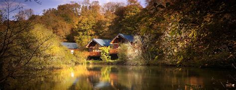 Deerpark Log Cabins And Lodge Holidays 20142015 Forest Holidays