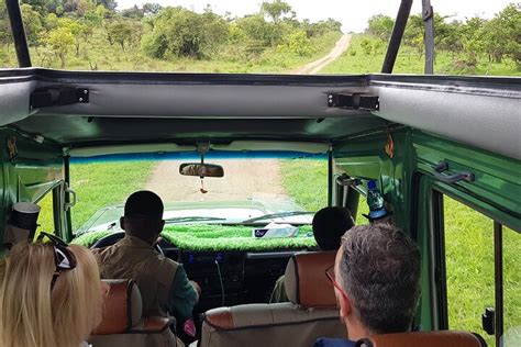 Tripadvisor Passeio De Dias No Parque Nacional Akagera Passeio De