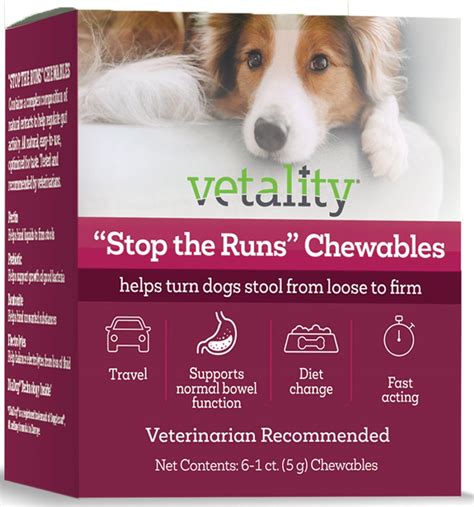 Why Dogs Get Diarrhea