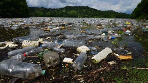 Cesta Promoverá La Prohibición De Los Plásticos De Un Uso Noticias De El Salvador